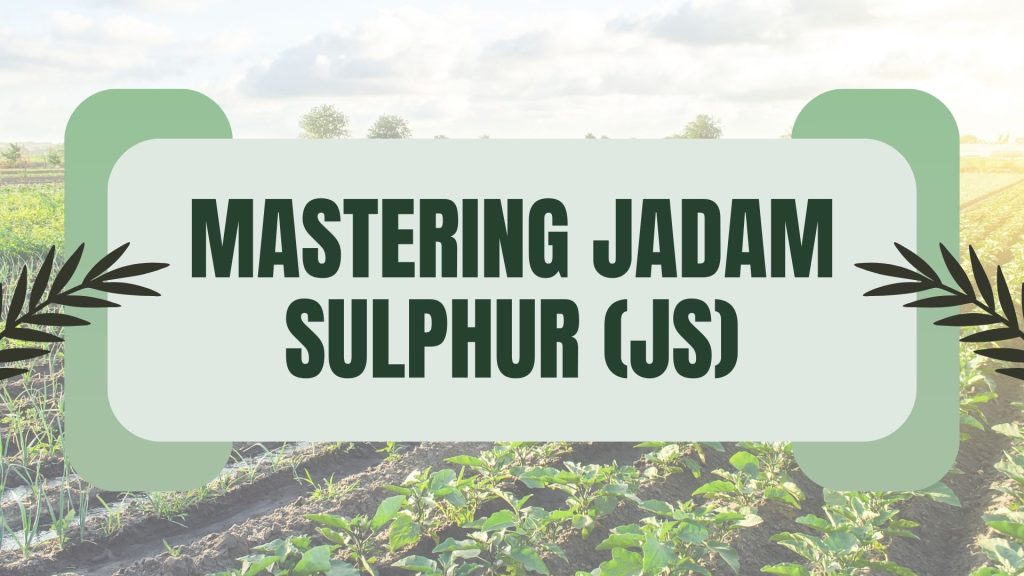Mastering Jadam Sulphur