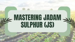 Mastering Jadam Sulphur
